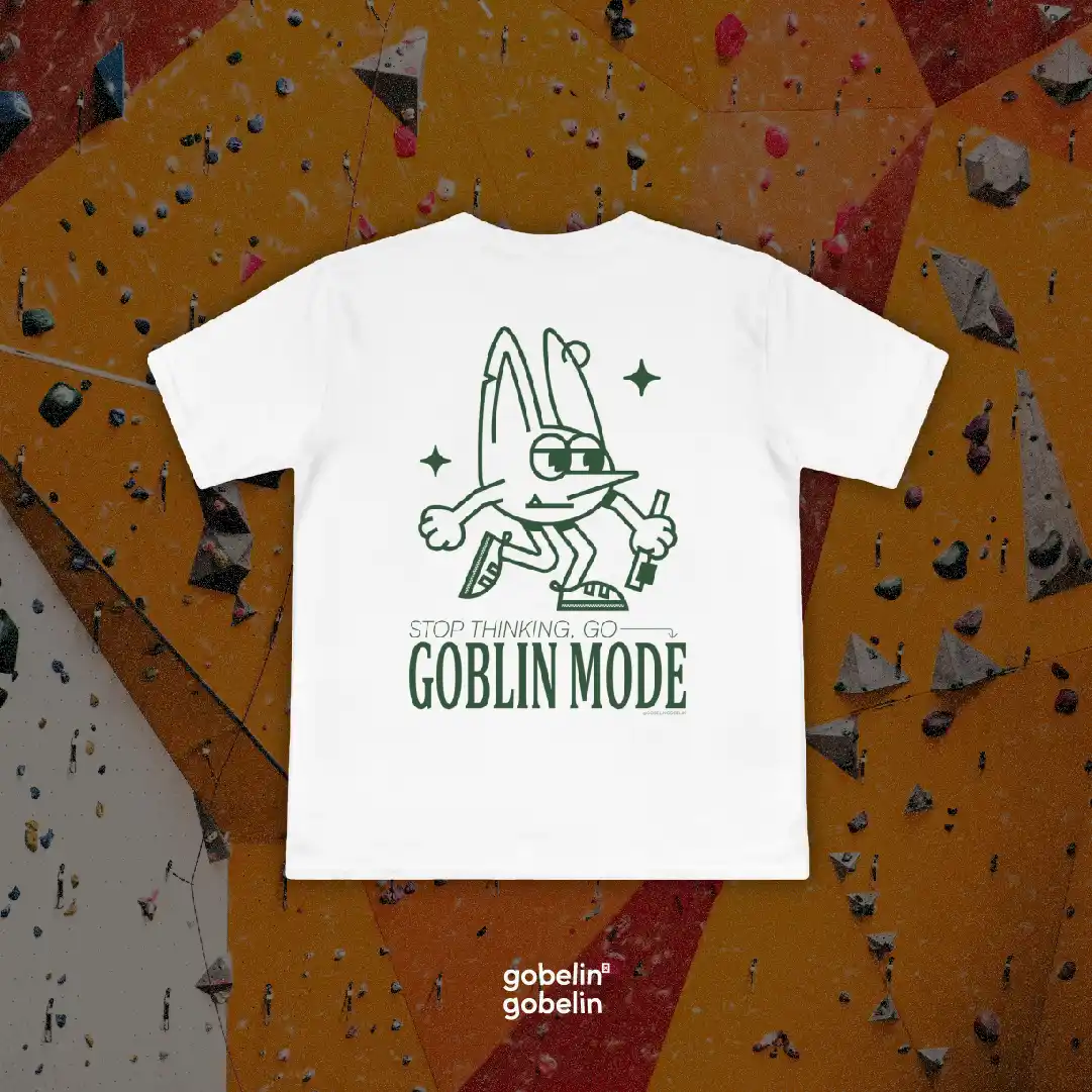 tshirt 2 gobelin